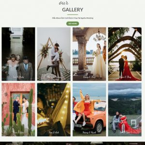 Theme wordpress Dịch Vụ Ảnh Viện Áo Cưới Studio M189 hình 3